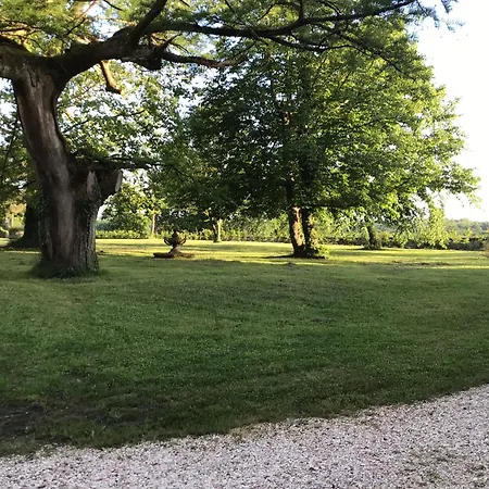 Les Souris Dans Le Grenier 3*